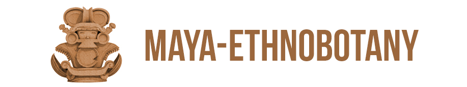 maya ethnobotany logo