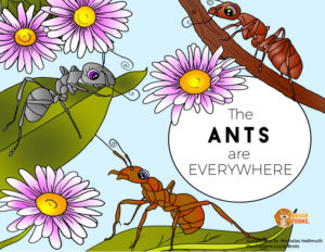 Ants-are-everywhere-Characters-preview-Aug-2017-1