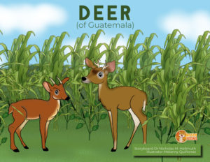 Deer-odocoileus-virginianus-Mayan-preview-MQ-1