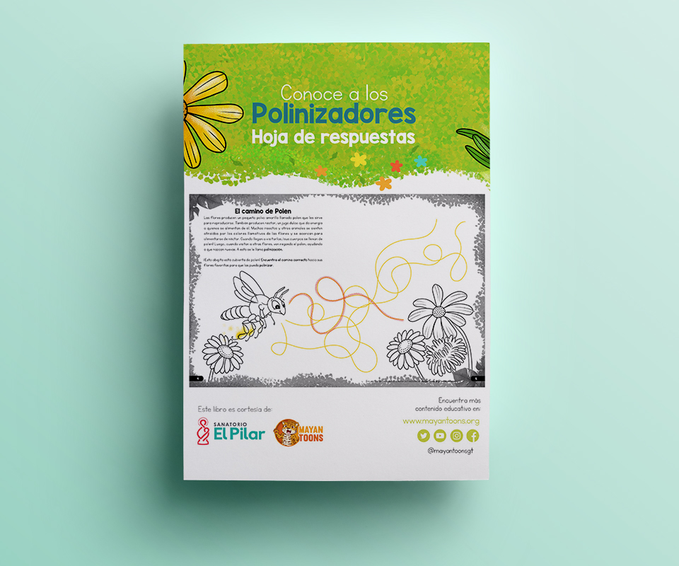 polinizadores-repuestas-pilar-mayantoon-2019