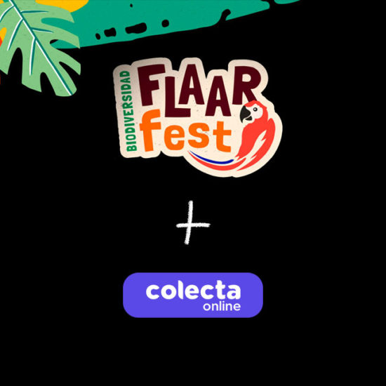 flaar-fest-2023-colecta-online